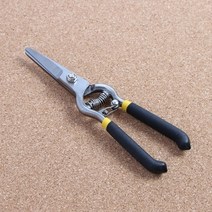 20cm 과일 다듬기 나무 원예 꽃 전지가위 원예가위 2개입, 1개