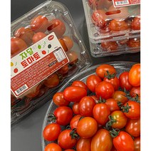 스테비아 망고토마토 스테비아토마토 토망고 500g 1kg, 자달 (방울)망고토마토, 방울토망고 500g(1팩)