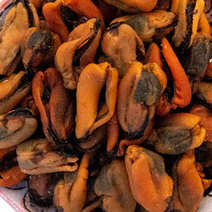 건조 홍합살 500g 육수용 말린 홍합 마른 깐 국물용