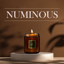 베스 누미너스 향초 수제캔들 44종 모음, 워머용 심지X, 100ml, White Musk