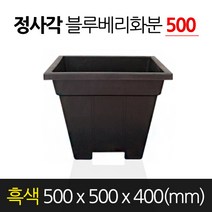 금산화분나라 고무 블루베리화분 정사각형 흑색 500 x 400 분갈이
