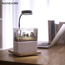 베타키우기 엔젤피쉬 나비파파 블랙고스트 하프문 키우기 오란다금붕어 구피 해수어항세트 해수 4929998849, G 옵션이미지 참조