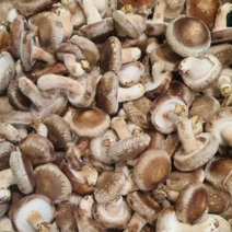 알뜰농장 국내산 무농약 생표고 버섯 실속형 중상품 2kg내외(단일), 1개, 무농약 생표고 2kg내외
