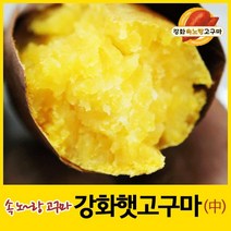 2022년 강화속노랑고구마 강화도호박고구마 햇고구마 [중간크기] 5kg 10kg 선택., 1박스, 선택4. 중간크기 10kg