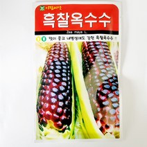흑찰옥수수 20g, 1개