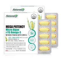 네추럴라이즈 메가포텐시 미세조류 rTG 알티지오메가3 30캡슐 x 2박스 2개월분, 30캡슐 x 2개