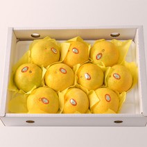 꿀범벅 제주 황금향 5kg(12-20)-선물용 포장