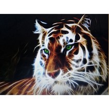 DIY 3D보석십자수 세트 호랑이 얼굴 흰수염 맹호 맹수 집들이 선물 220401091, 60cm*45cm, 원형비즈   호랑이