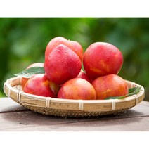 생산자 직접판매 2kg 밀양자두 추희 햇자두 후무사 대석 피자두 프리미엄 임산부 제철과일 김천 의성, 자두, 500g, 1개