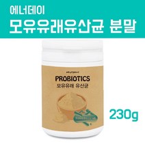 lgg유산균 분말 가루 대용량 프로바이오틱스 프리바이오틱스 모유성분유산균 락토바실러스 가세리 루테리 람노서스 엘지지유산균 장내유익균 방탄프롤린 갑옷 바이오 생존유산균 효능 국내산, 1통, 1개