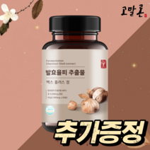고말론 발효율피 추출물 맥스 플러스 정 1000mg, 60정, 1통
