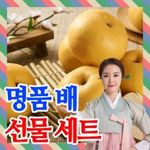 [프리미엄]배 과일 선물세트 나주배 선물용 제수용 과일세트 7.5KG 5KG 보자기포장, 프리미엄 배 선물세트 2호