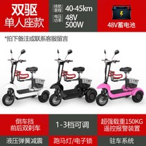 3륜전기자전거 전동 세발 자전거 성인용 3인용 삼륜 세발자전거 가성비 전기, 48V, 48V 2인용- 축전-1인승-원터치 시동