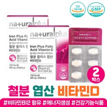 철분 엽산 비타민d 마그네슘 아사이 베리 건강기능식품 플러스 아미노산 혼합 분말 정 철분제 비타민 d b12 L 글루타민 로이신