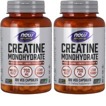 나우푸드 크레아틴 Creatine 모노하이드레이트 120정 캡슐 영양제 NOW Foods 2통