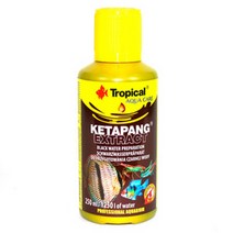 TROPICAL 케타팡 익스트랙트 알몬드잎 블랙워터 250ml, 단품