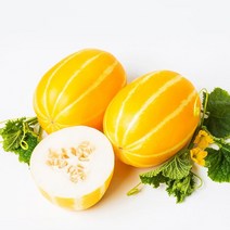 신선코리아 성주참외 산지직송 못난이 가정용 고급 선물용 황금참외 1kg 2kg 5kg 10kg, 가정용 못난이, 3kg
