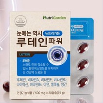 청소년 피로한 눈 관리 루테인 비타민 영양제 눈시림 눈이침침 황반변성영양제 황반변성 각막영양제 눈뻑뻑