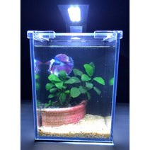 심즈배면 심즈미니 올디아망 (15하이큐브 15x15x20cm) 어항, 블랙