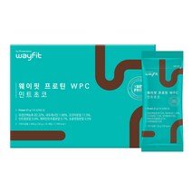 웨이핏 프로틴 WPC 민트초코맛, 1박스