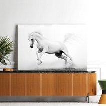 출세운 팔마도 칠마도 행운을부르는 말그림 사장님 회장님 캔버스 액자, 19.천마도