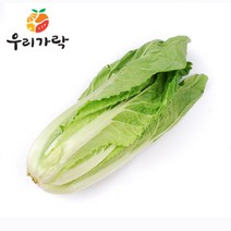 [우리가락]얼갈이배추 1단, 단품
