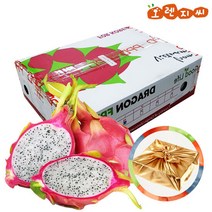 [선물용]베트남 용과 9-10과 1박스 5kg, 단품