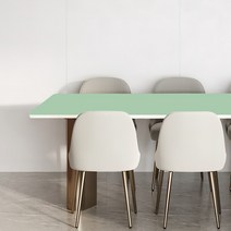 양면 가죽 방수 식탁보 모서리라운딩 5mm, 라이트그린 + 블루, 100 x 210 cm