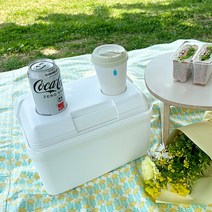 아이스박스 8.5L 미니 냉장고 보냉 캠핑용품, 미니 화이트 8.5L