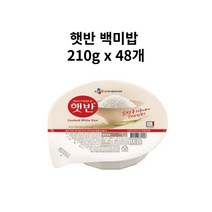 햇반 백미밥 210g 48개 한박스, 24개+24개0