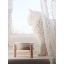 개밥주는아빠 크립토메리아애견식탁 애견원목식탁, 개밥의 도토리-킹냥짱, 1구-1개