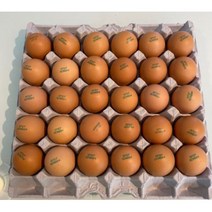 [10판] 신선하고 안전한 농장직송 계란 - 식당 및 베이커리 배달(김포 검단 청라 서울), 종로 마포, 대란