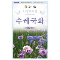 다농 수레국화 1g 야생화씨앗