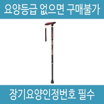 복지용구 지팡이 ILA 노인 어르신 효도 할머니지팡이 실버용품, 감경대상자 9%