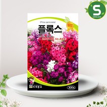 솔림텃밭몰 플록스씨앗 300립 플록스 꽃씨앗 혼합종 꽃씨 야생화