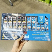 기획 아이스박스포장 상하치즈 mini 체다 크림치즈 48g x 10, 단품