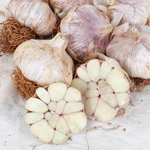 햇마늘 스페인종자 국내산 저장마늘 통마늘 장아찌 5kg 3kg, 5kg (100개 이상)