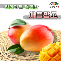 고군명가 브라질 애플망고 1kg 2-3과내 항공직송 고당도 싱싱한 새콤달콤 과즙팡팡 당도선별 품절예상, 1개