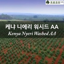 (커피생두) 2022년 뉴크롭 케냐 니에리 워시드 AA, 250g, 1개
