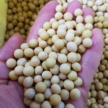 [22년산] 백태 메주콩 햇콩 국산콩, 1개, 1kg