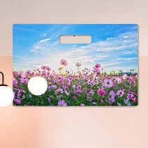 바보사랑 행잉액자 푸른하늘과코스모스(가로대형).꾸밈, 타입:타입4