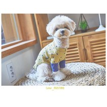 푸들 포메 비숑 강아지 외출 예쁜 도트 옷 코카스파니엘옷 개옷, 2XL