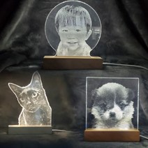 Hucat 주문 제작 아크릴 무드등 - 강아지 고양이 사진 레이저 각인 어버이날 스승의날 선물, D타입(자유형,대형)
