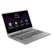MSI 2021 크리에이터 17, 그레이, 코어i7 10세대, 512GB, 16GB, Free DOS, A10SE HDR