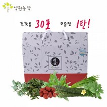 건강즙 1탄 [30포/1박스]개똥쑥즙 외, 구지뽕즙, 선택옵션