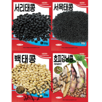 서리태콩씨앗 서목태(쥐눈이콩) 백태(메주콩) 호피강낭콩덩쿨종자 오리지날토종콩모음집 경신, 서리태