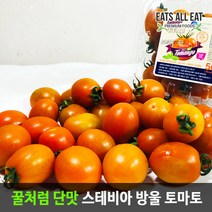 이츠올릿 프리미엄 꿀맛 스테비아 방울 토마토 500g 산지직송 단 대추 토망고, 스테비아방울토마토（500gx1팩）