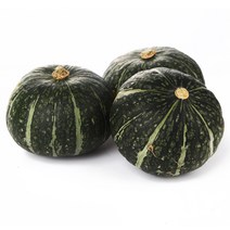 햇살조은 23년 국내산 퍽퍽한 햇 단호박, 단호박2kg(2~5개), 1개