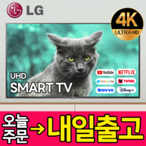 LG전자 75인치 QNED 퀀텀닷 나노셀 4K UHD LED Ai 인공지능 TV 와이파이 넷플릭스 디즈니 75QNED75, 방문설치, 스탠드형