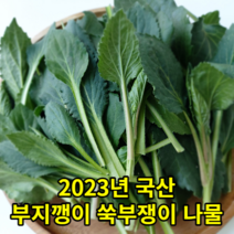 울릉도 부지갱이 부지깽이나물 쑥부쟁이 울릉도나물 생나물 취나물, 울릉도 부지갱이 부지깽이나물 쑥부쟁이 3kg